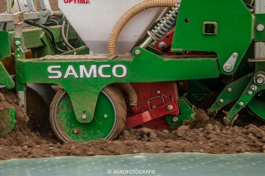Massey Ferguson 7480 + SAMCO (Maïs onder folie, 21-03-2015, VDD Agri) (4)