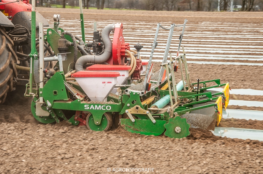 Massey Ferguson 7480 + SAMCO (Maïs onder folie, 21-03-2015, VDD Agri) (9)