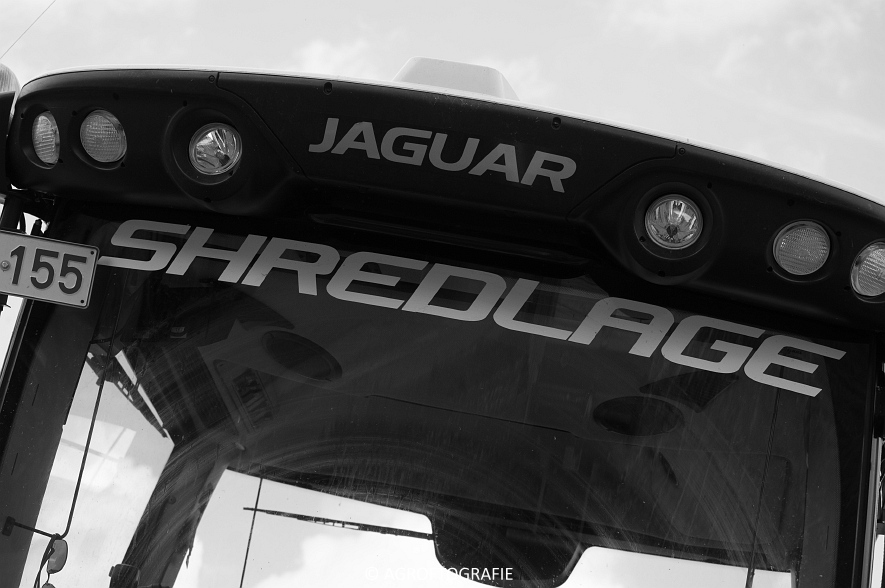 claas-jaguar-960-kemper-375-plus-jcb-435s-mais-16-09-2016-83-van-86jpg